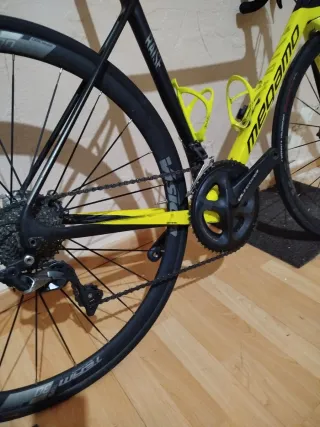 Megamo Rise 2019 talla 53