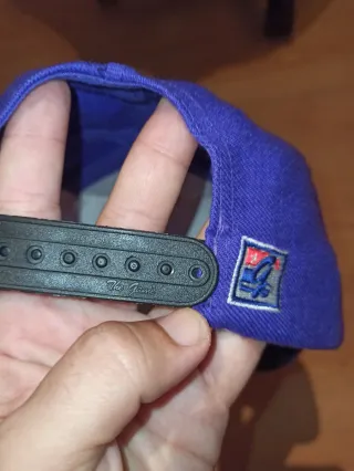 Gorra Vintage Toronto Raptors starter
