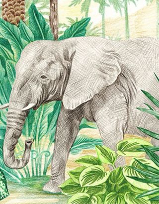 Papel pintado Komar Into Adventure