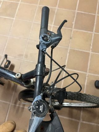 Bicicleta Vicini Negra