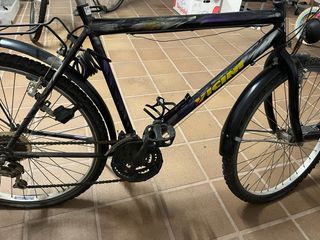 Bicicleta Vicini Negra