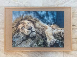 Puzzle Trefl 1000 Piezas León Durmiendo