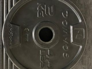 Pesos con Barra CurlBiceps y barra Triceps Domyos