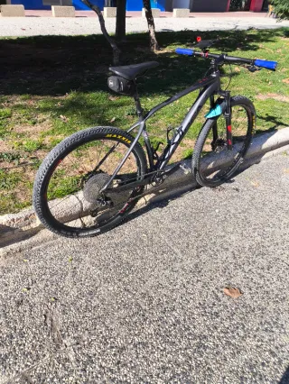 Bicicleta MTB Orbea Alma