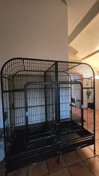 Jaula Grande Loro Divisoria Negra