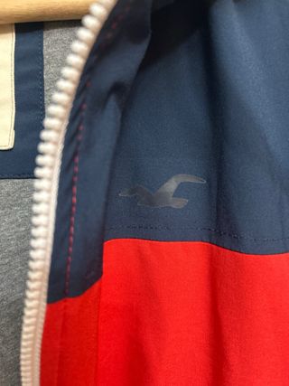 Chaqueta Hollister Talla S