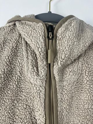 The North Face Campshire Pullover Hoodie Polar She