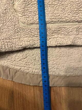 The North Face Campshire Pullover Hoodie Polar She