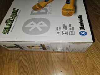 Karaoke Profesional Bluetooth Gloirik