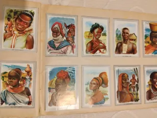 Álbum de cromos Vida y Color