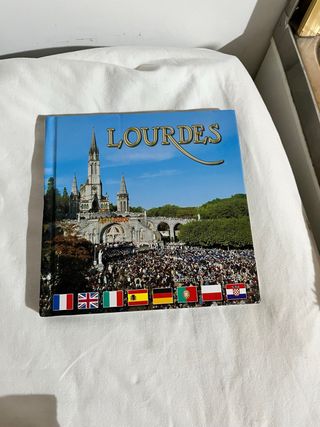 Lourdes libricino