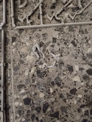 Warhammer 40k Escuadra Carnívora Kroots Tau Empire