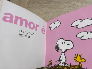Amor é...