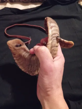 Corno vintage con laccio in cuoio