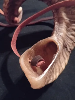 Corno vintage con laccio in cuoio