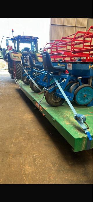Trasplantadora Ferrari Multipla