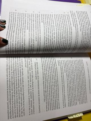 El extranjero en el Derecho español