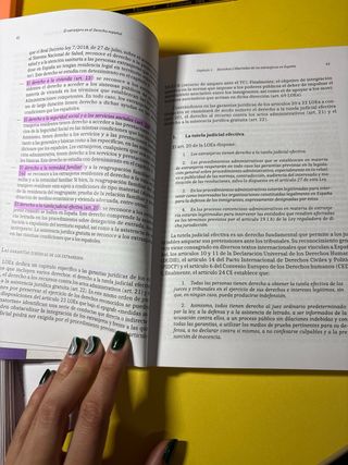 El extranjero en el Derecho español