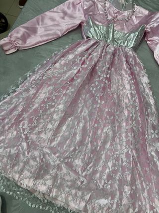 Vestito da principessa rosa e argento