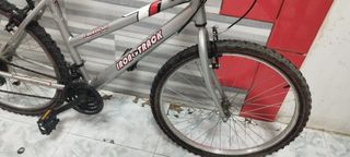 Bicicleta IronTrack Freedom Plata