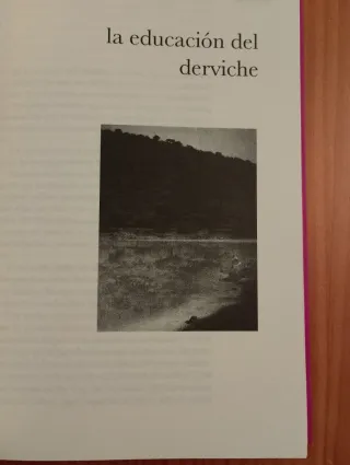⚡Sheij Muzaffer Ozark: EL AMOR ES EL VINO. Sufismo