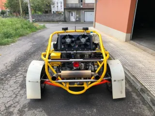 Buggy Doctor Charan Amarillo