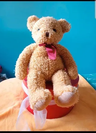 Ursinho de peluche com caixa