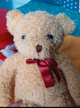 Ursinho de peluche com caixa