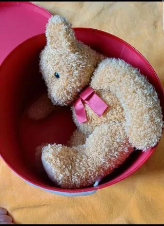 Ursinho de peluche com caixa