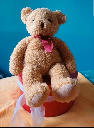 Ursinho de peluche com caixa