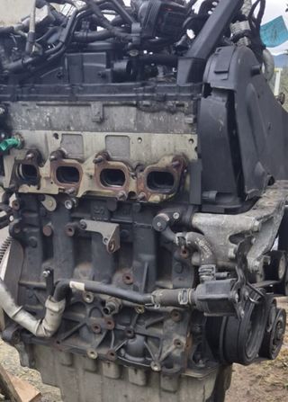 Despiece motor VW CXG