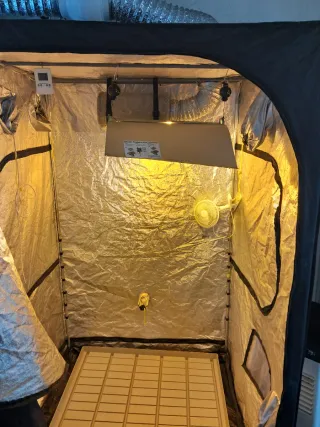 INDOOR-CULTIVO. EQUIPO COMPLETO 600W, + EXTRAS