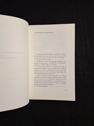 Begoña Huertas. El sótano