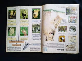 Álbum Cromos "Animales Domésticos" Panini Completo