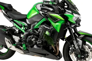 Protectores Motor Kawasaki Z900 Puig
