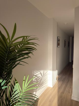 Alquiler Puertito de Guimar