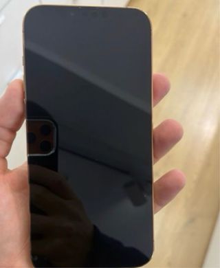 iPhone 13 Pro Max Dorado