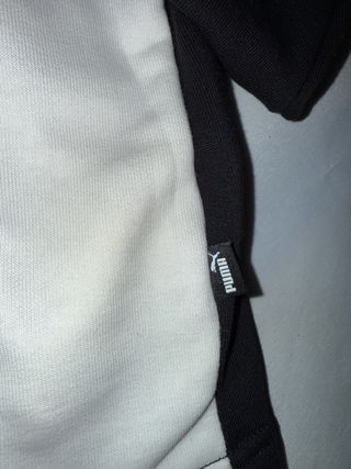 Sudadera Puma bicolor