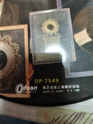 The Beatles–With The Beatles · Picture Disc Japón