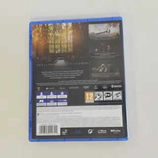 Hogwarts Legacy / PlayStation 4 /