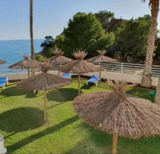 Sombrilla de playa y piscina