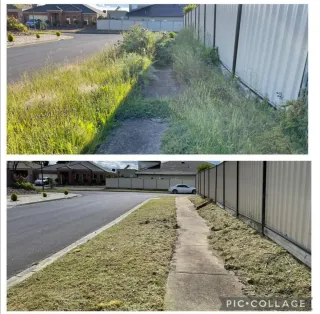 Jardinero económico