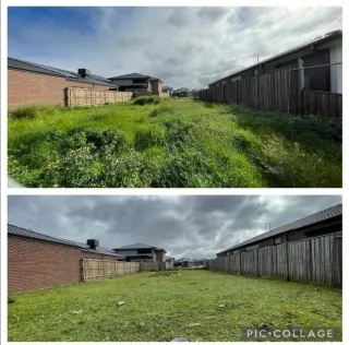 Jardinero económico