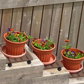 Plataforma con ruedas