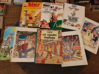 Lote Cómics Asterix, Tintín y Cuentos Infantiles