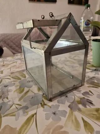 Invernadero de cristal metálico