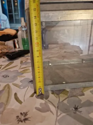 Invernadero de cristal metálico