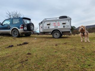 Remolque  perros carro rehalas caza todoterreno