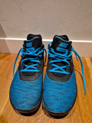 Zapatillas Nike Air Max Talla 40