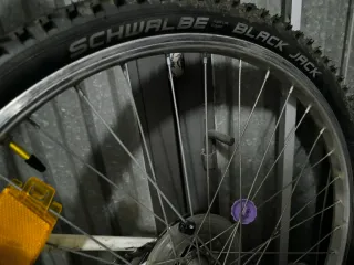 Bicicleta BH Oregon Morada